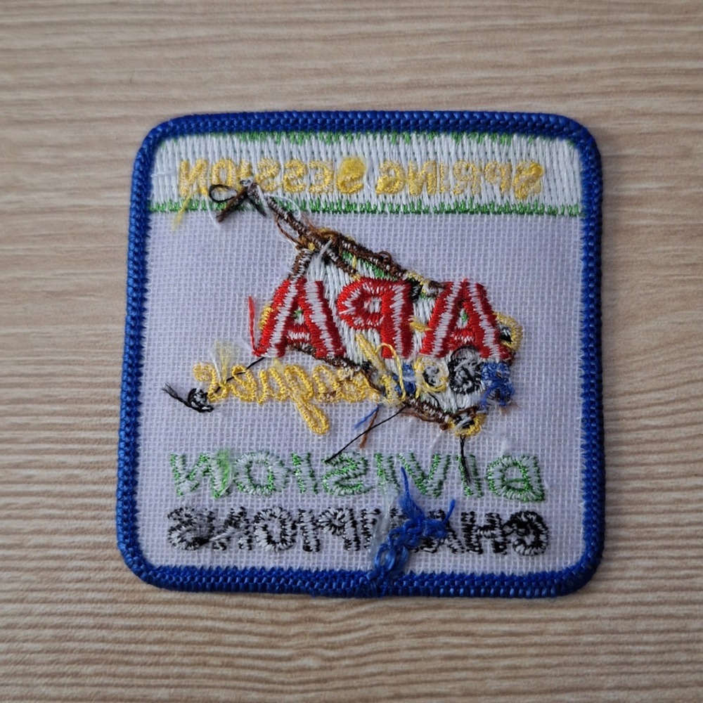 APA Patch Spring‎ Session Division Champions - Picture 2 of 2